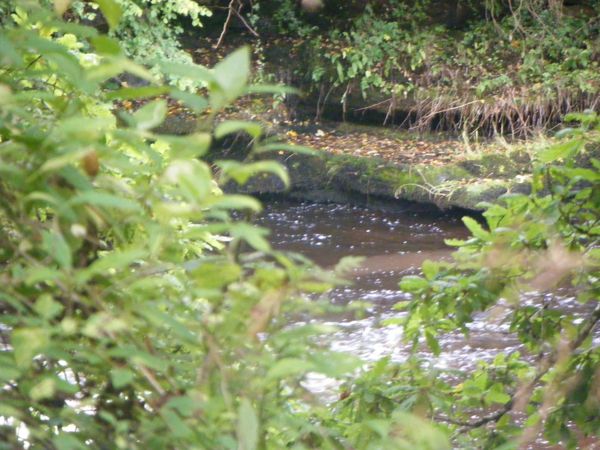 Photo from 4 Sept 2008