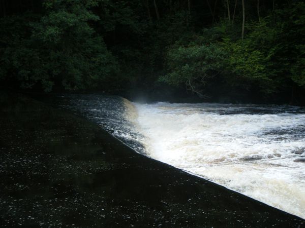Photo from 4 Sept 2008
