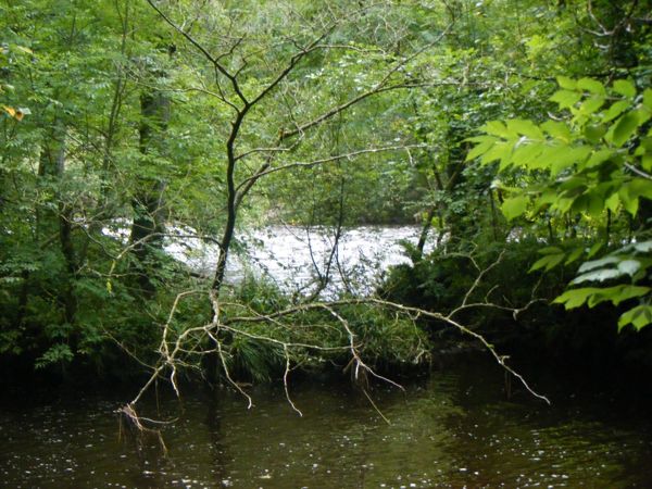 Photo from 4 Sept 2008