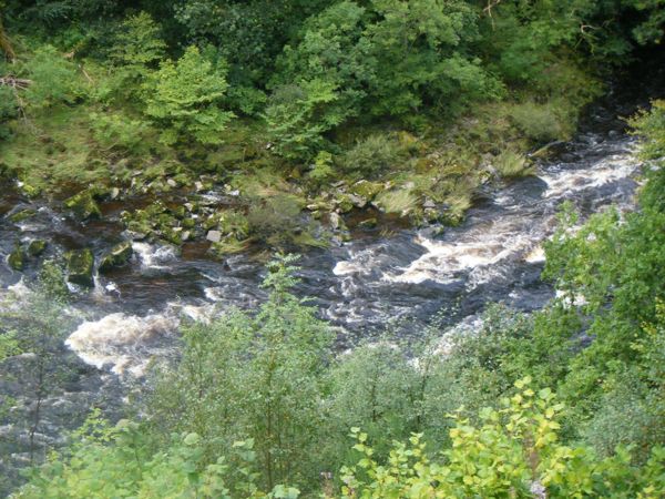 Photo from 4 Sept 2008