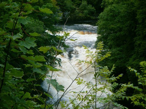 Photo from 4 Sept 2008