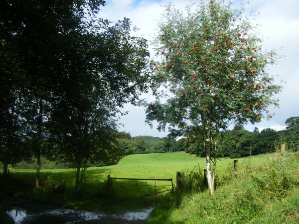 Photo from 4 Sept 2008