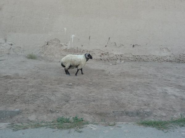 Photo from 30 Jun 2009