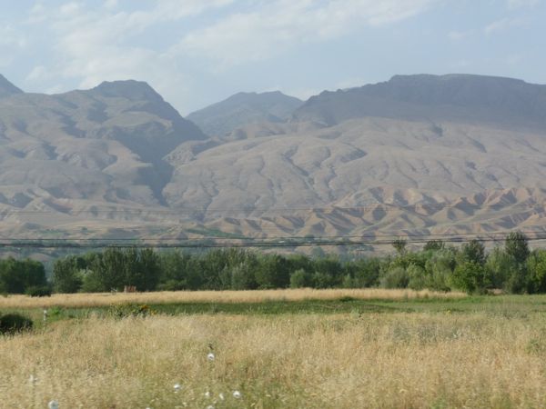 Photo from 11 Jul 2009