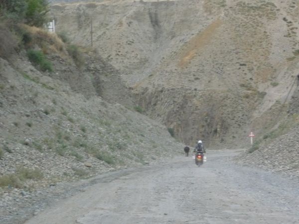 Photo from 11 Jul 2009