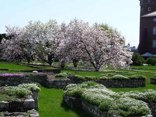 Photo from 20 Apr 2009