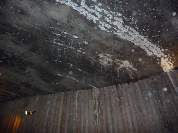 Photo from 22 Apr 2009