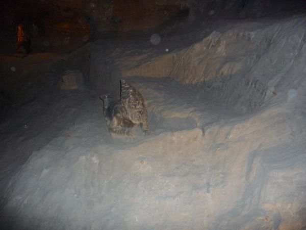 Photo from 22 Apr 2009