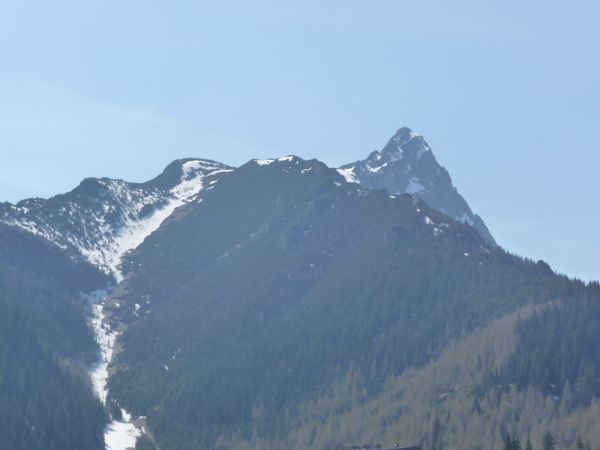 Photo from 24 Apr 2009