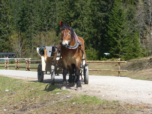 Photo from 25 Apr 2009