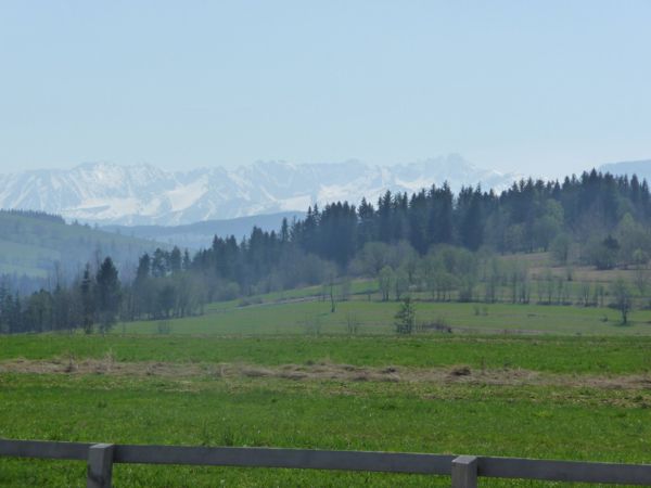 Photo from 26 Apr 2009