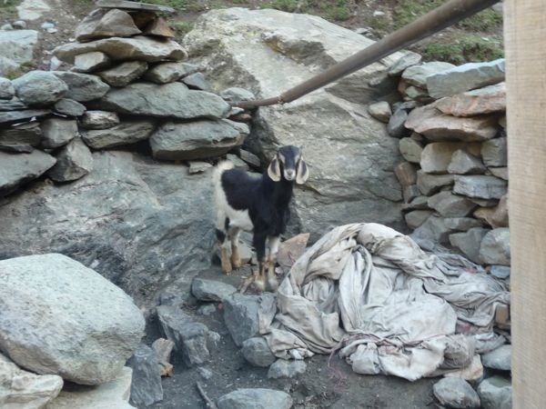 Photo from 8 Sept 2009