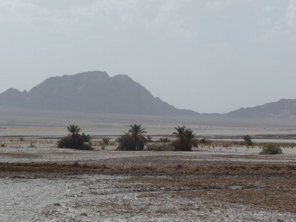 Photo from 10 Jun 2009