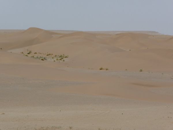 Photo from 11 Jun 2009